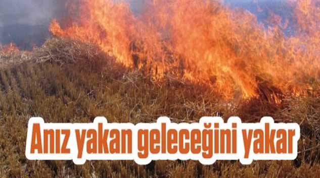 ANIZ YAKAN GELECEĞİNİ YAKAR