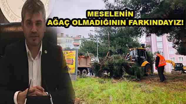 AĞAÇLAR 60 YAŞINDA KESİLMESİ UYGUN!