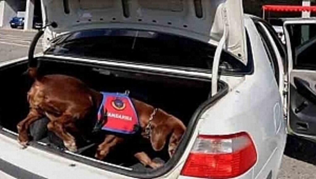 Bafra'da Uyuşturucu Zanlısı Gözaltında!