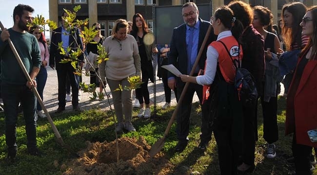 Her Çınar Fidanı Kadınları Yaşatsın 