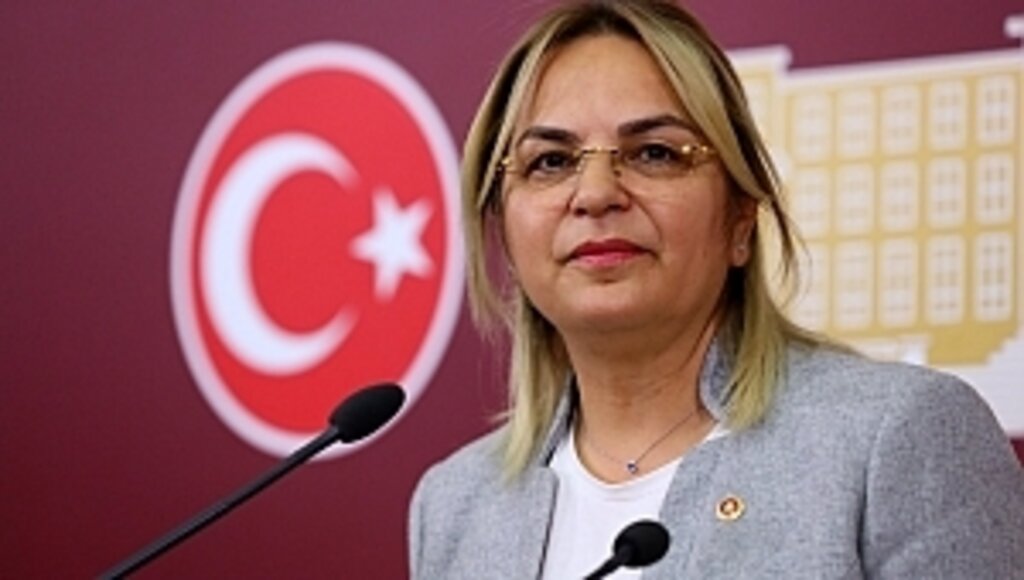 Tarlayı filler bastı, fındığın artık ne milliliği ne de yerliliği kaldı