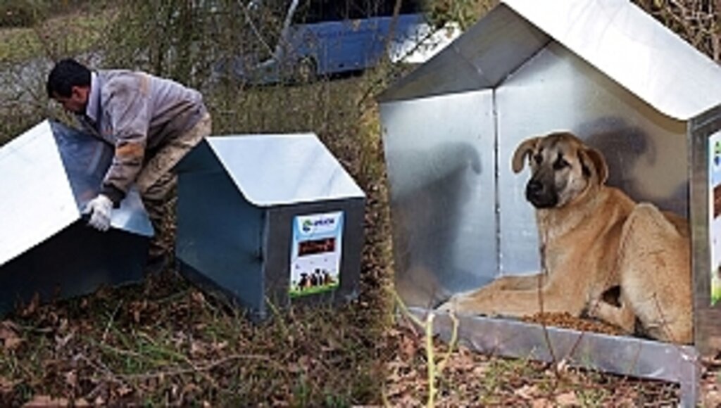 Ayvacık'ta Sokak Hayvanlarına Mama Ve Kulübe