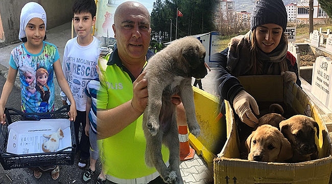 Demirtaş'tan Sokak Hayvanları İçin Duyarlılık Çağrısı