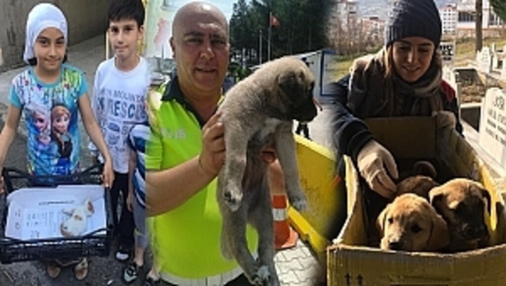 Demirtaş'tan Sokak Hayvanları İçin Duyarlılık Çağrısı