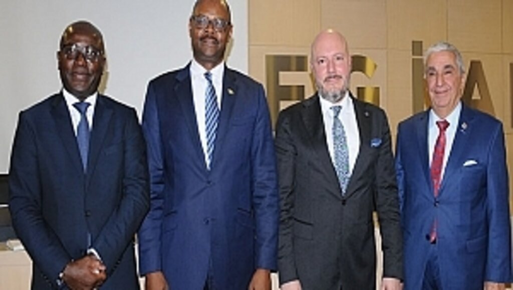 GİAD - Afrika İşbirliği