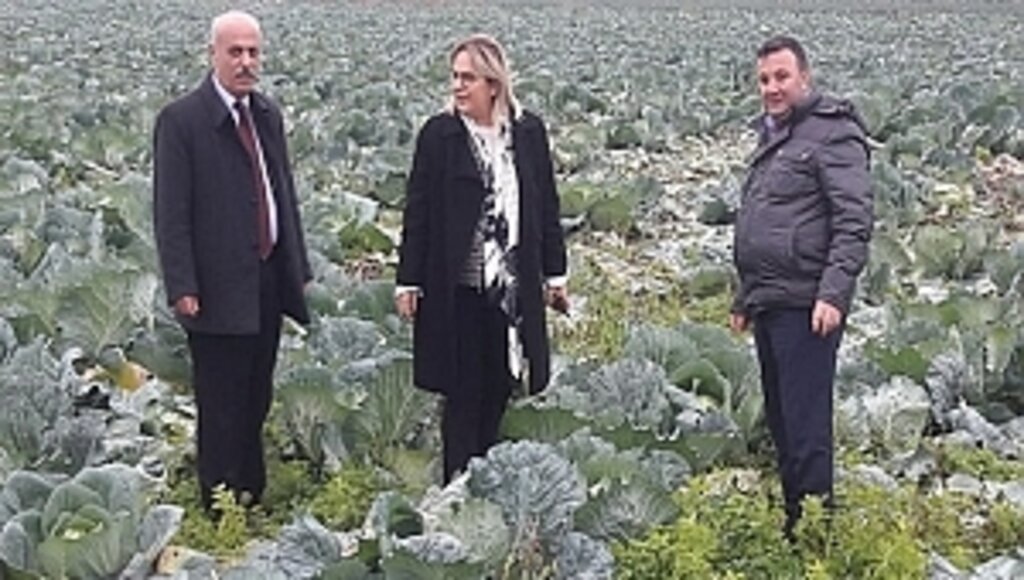 İktidarın Tarım Politikasını Bafra'dan Eleştirdi!