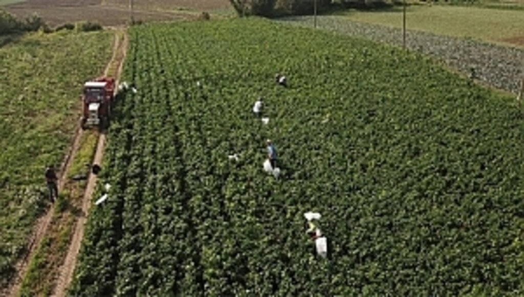 Çiftçiye ve Tarıma Büyük Destek Veriyoruz!