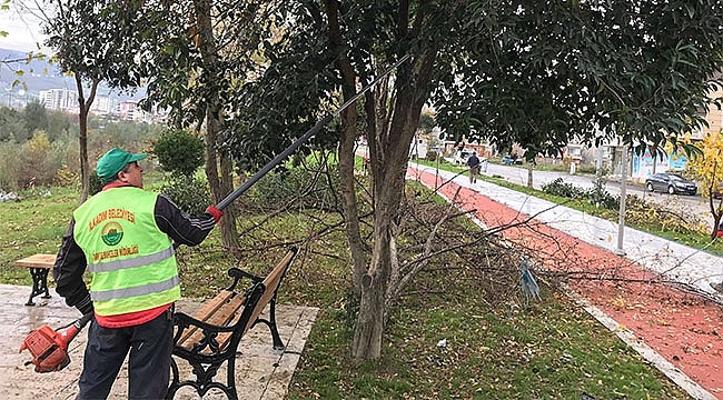 İlkadım'da Ağaç Buda Çalışmaları Başladı