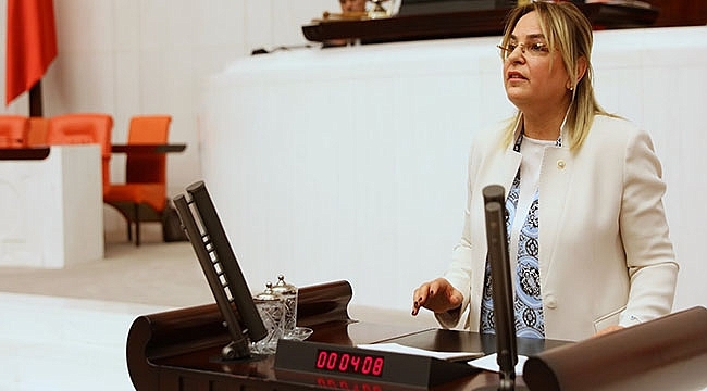Hancıoğlu, Meclis Kürsüsünden Seslendi