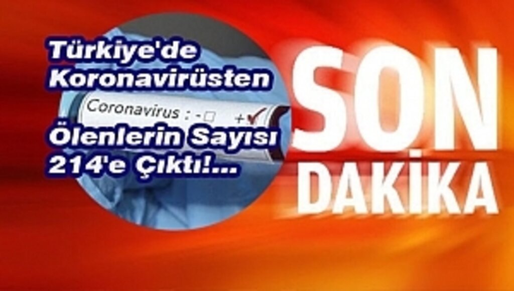 Koronavirüste Son Durum!