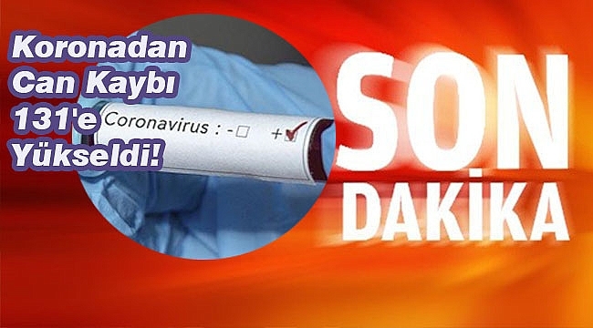 Toplam Vaka Sayısı 9 Bin 217