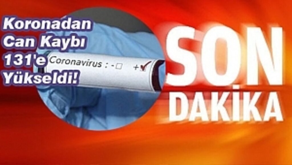 Toplam Vaka Sayısı 9 Bin 217