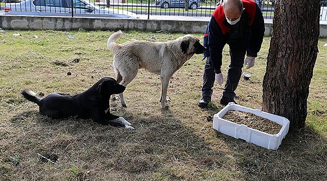 Can Dostlara Mama Dağıttılar