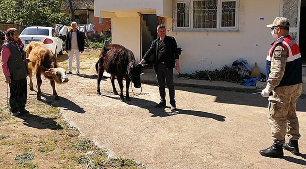 Jandarma, Kayıp Hayvanları Sahibine Teslim Etti