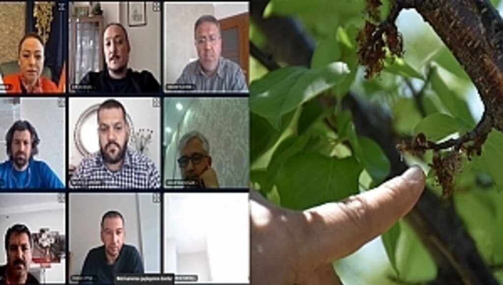 MTÜ Ziraat Fakültesinden Kayısıda Çiçek Monilyası Raporu