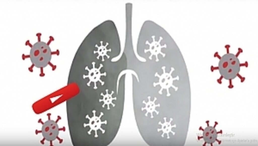 "Sigarayı Bırakmanın Tam Zamanı" diyor