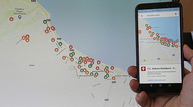 Sokak Hayvanları İçin Dijital Besleme Noktaları Haritası