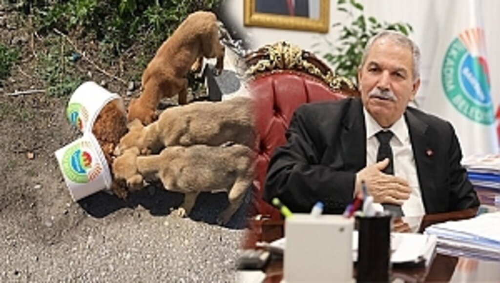 Demirtaş, Vatandaşa Seslendi