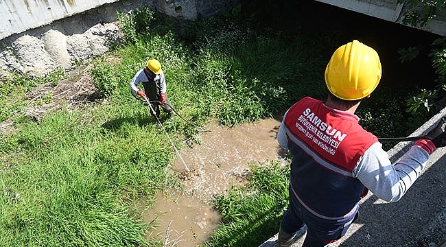 Samsun Büyükşehir Belediyesi'nden 'Larva' Temizliği