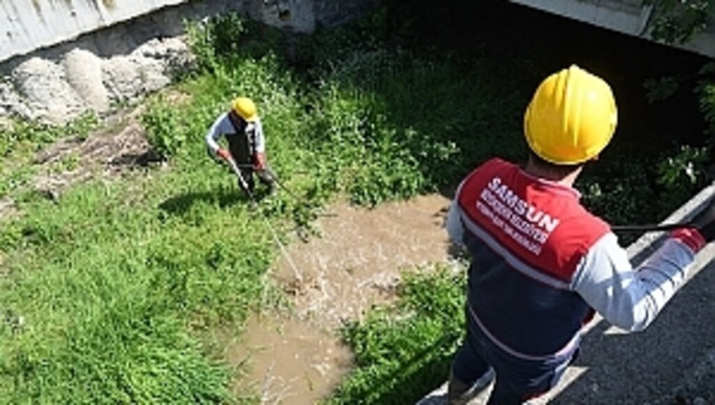 Samsun Büyükşehir Belediyesi'nden 'Larva' Temizliği