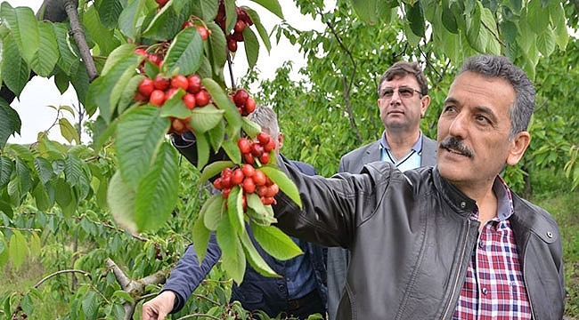 TKDK, IPARD II Programı Kapsamında Dokuzuncu Başvuru Çağrı İlanına Çıktı