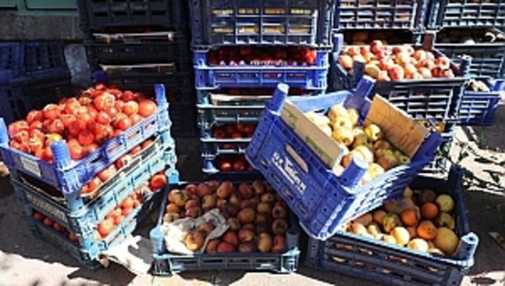 Zabıta, Bozuk Sebzelerin Satışına Geçit Vermedi!