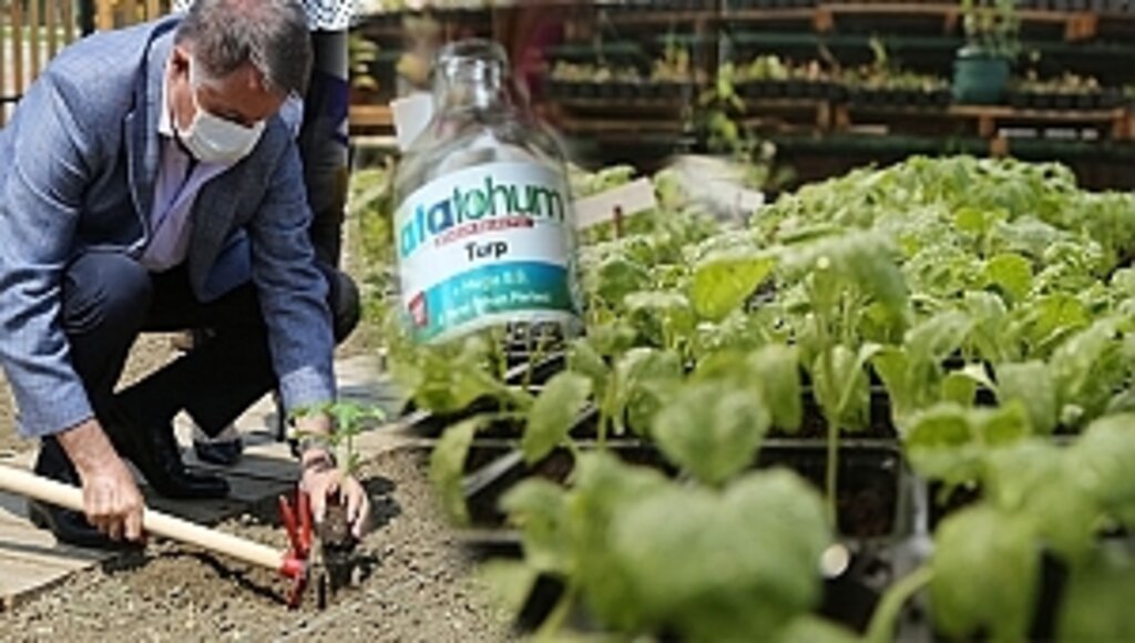 Atakum'da Yerel Tohumlar Atatohum İle Geleceğe Taşıyor!