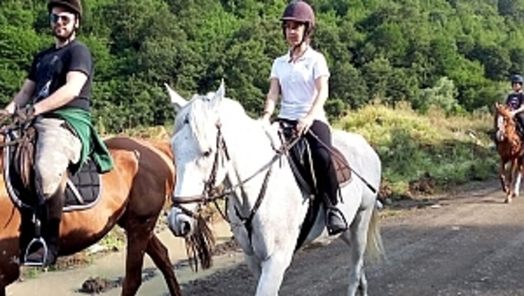 Atlı Binicilik Tesisleri'nde Eğlenceli Kamp