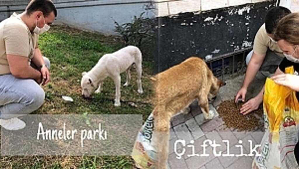 CHP İl Gençlik Kollarından Anlamlı Bir Proje