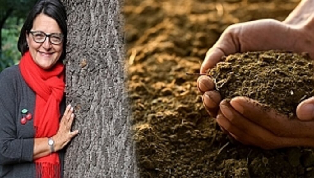 Çölleşme 1,5 Milyar İnsanın Hayatını Doğrudan Etkiliyor