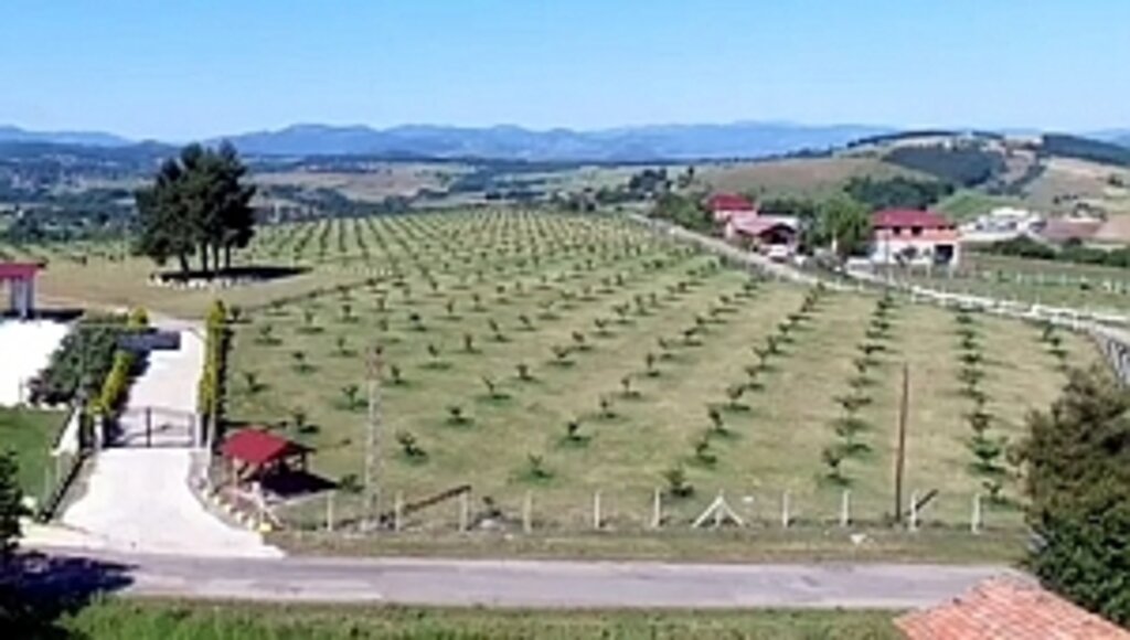 Enerji İştiraki İle Türkiye'nin İlk Fındık Çiftliği