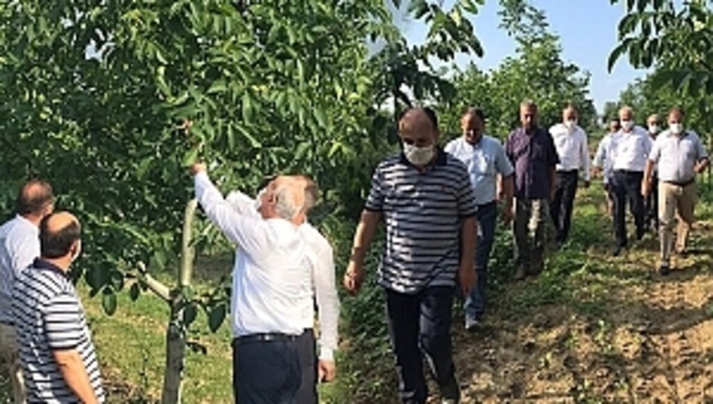 MHP İl Başkanı Karapıçak Vezirköprü'de İncelemelerde Bulundu