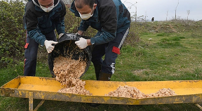 Sokak Hayvanlarına 47 Ton Mama!