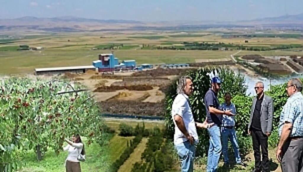 Belediye Başkanı Santral İçin Kooperatif Kurdu