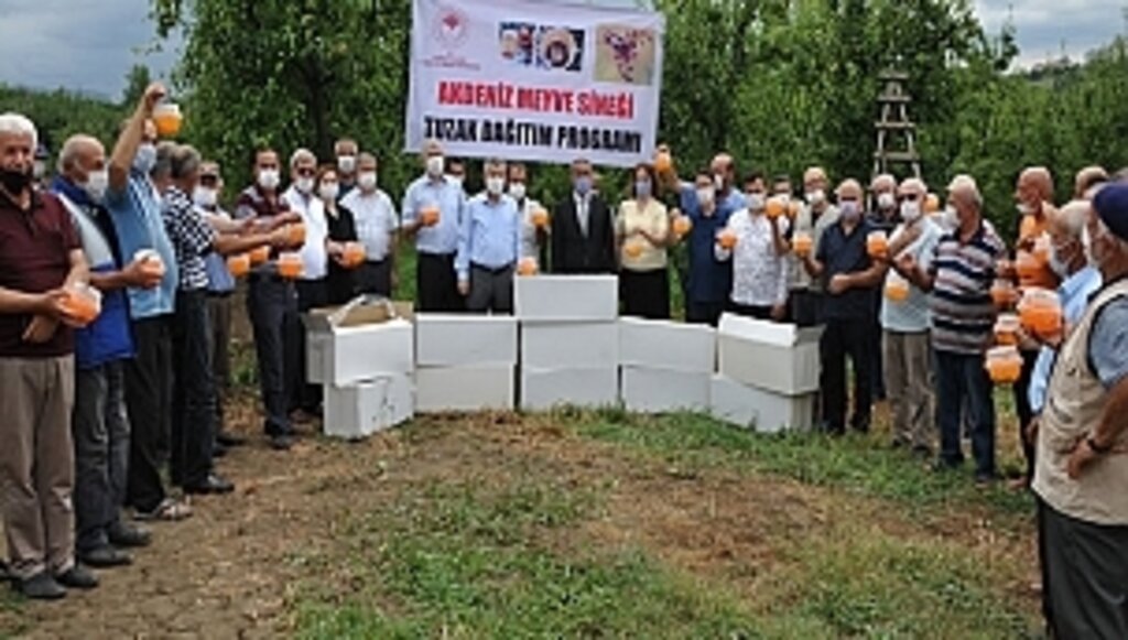 Büyükşehirden Meyve Üreticisine Destek