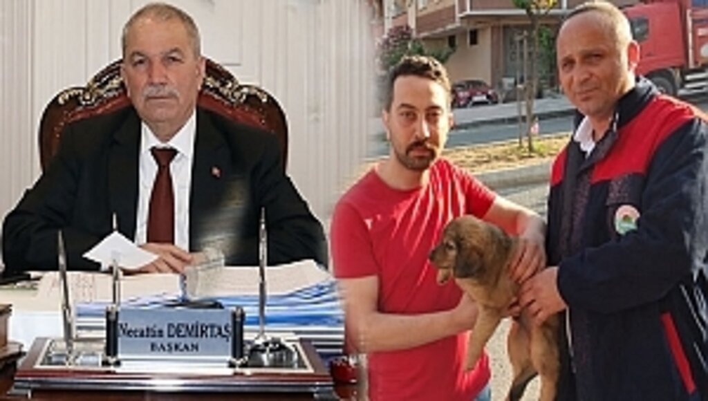 Can Dostları Yeni Yuvalarına Kavuşuyor