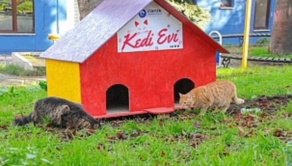 Canik'te Can Dostlar Emin Ellerde