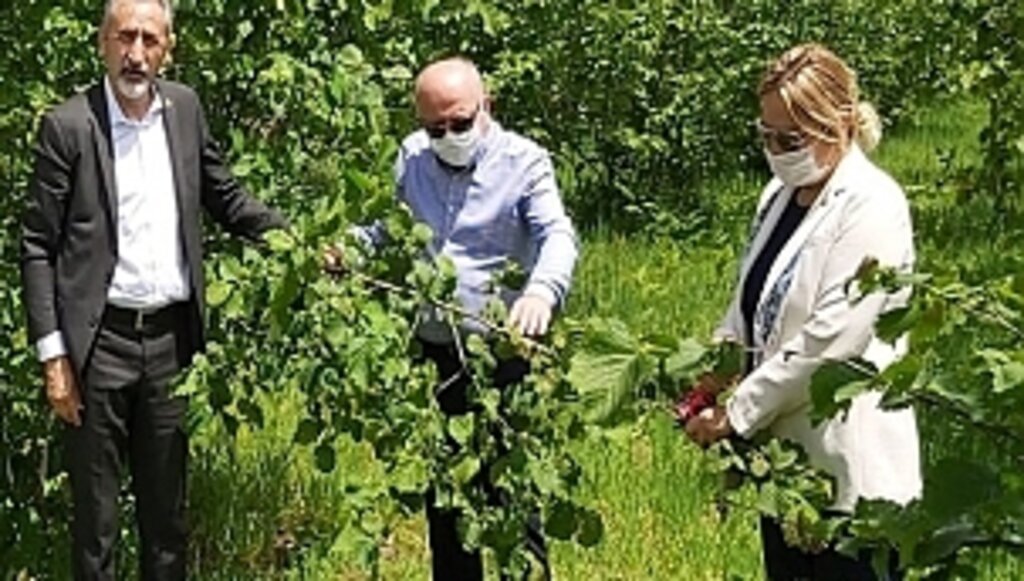 CHP'den İktidara 'Üreticiyi Satma!' Uyarısı