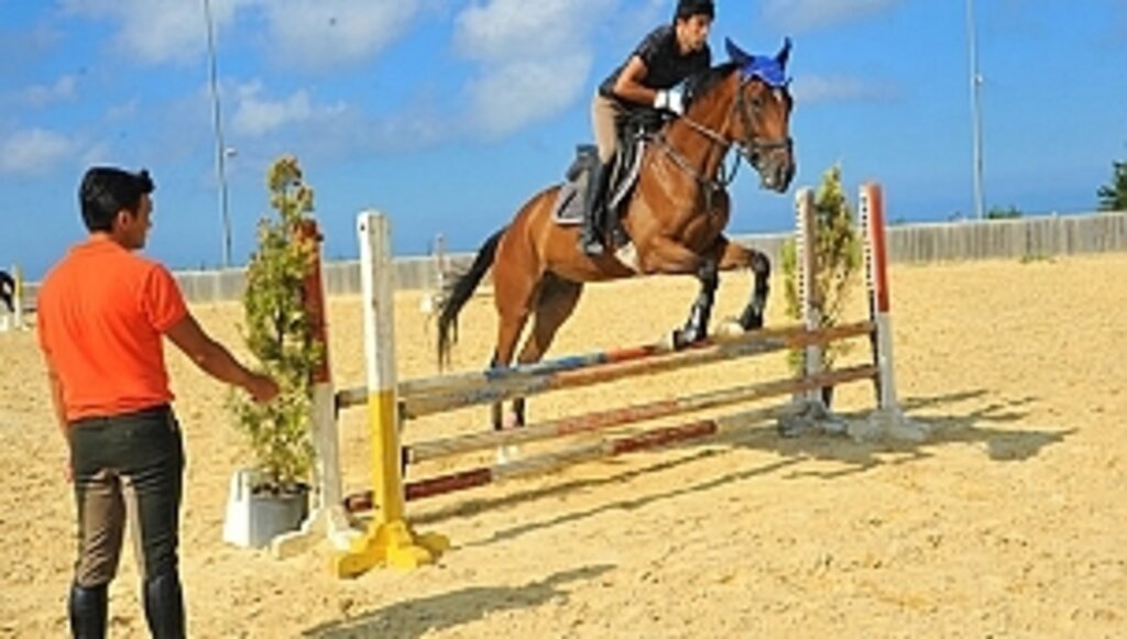 Büyükşehir Belediyesi 'Atıl ve Rüzgar' ile yarışacak!