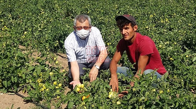 Büyükşehir Belediyesi'den Alım Garantili Destek