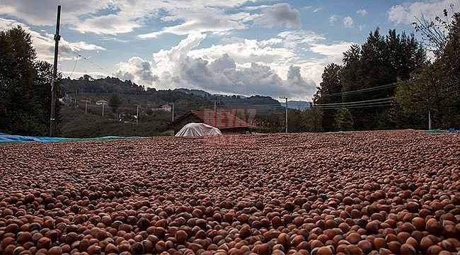 Ferrero, Fındık Üreticilerini Uyardı