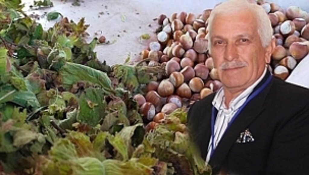 Fındığın Başını Döndürenler!