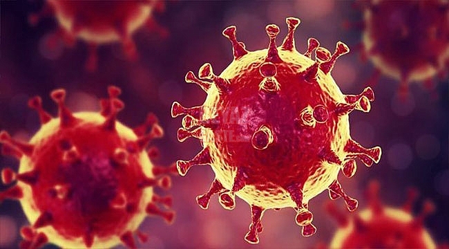Koronavirüste İlk Yedi Gün Uyarısı!