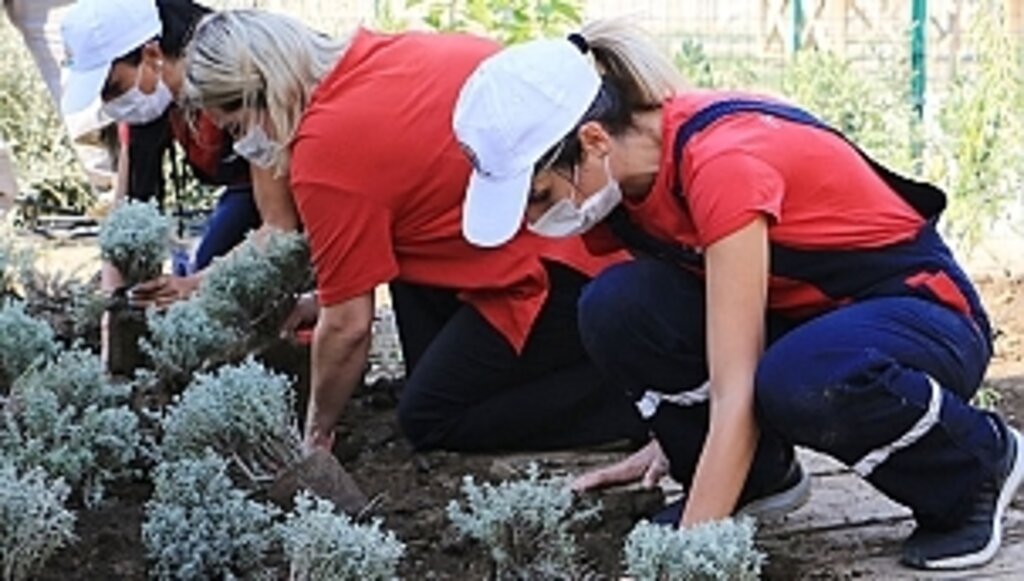 Atatohum'da İlk Sezon Hasadı Yapıldı