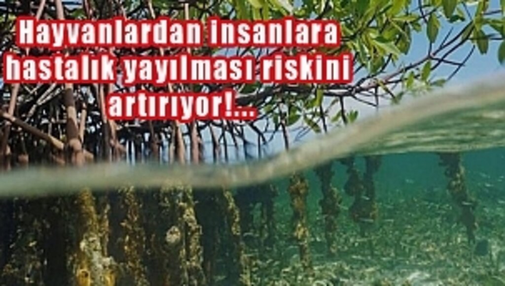 BM'den Eşi Görülmemiş Rapor!...