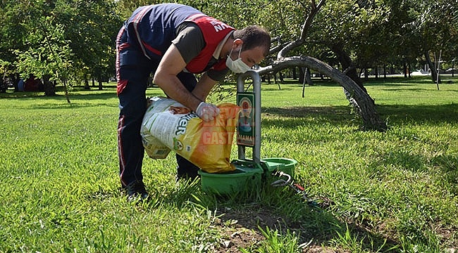 Büyükşehirden Sokak Hayvanlarına Mama Ve Su Kabı