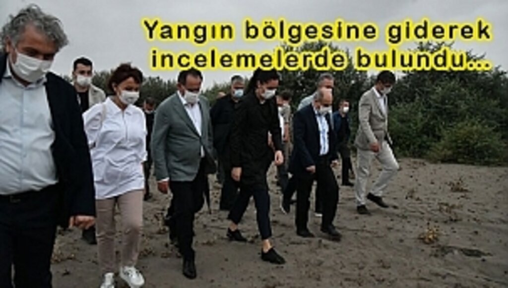 Hiç Kimse Merak Etmesin. Yapılaşmaya Açılmayacak