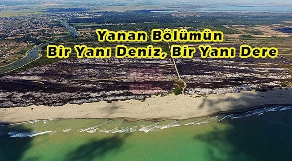 Usta’dan Kuş Cenneti Tepkisi