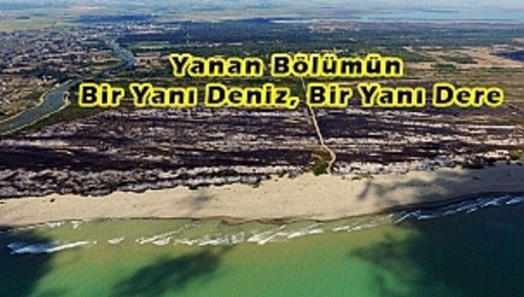 Usta'dan Kuş Cenneti Tepkisi