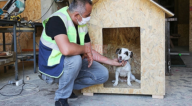 Atakum Belediyesi Üretiyor Maskot 'Leydi' Test Ediyor